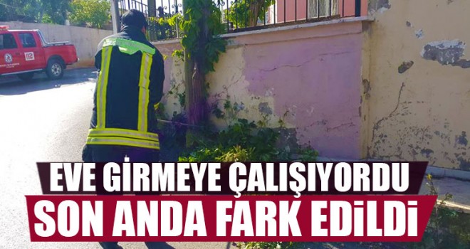 Eve Girmeye Çalışıyordu Son Anda Fark Edildi