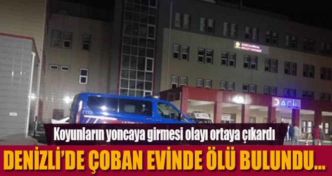 Denizli'de çoban ölü bulundu