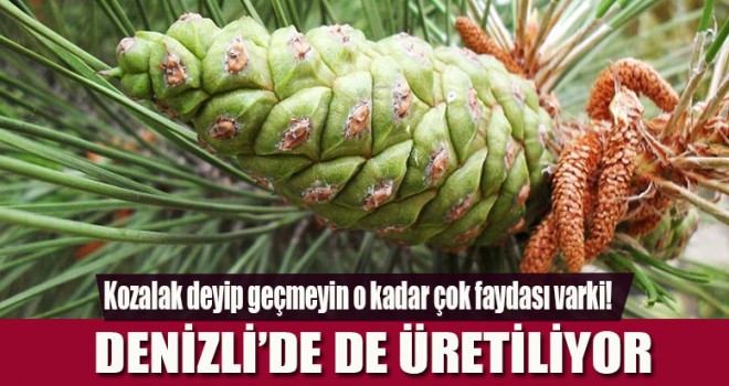 Şifa kaynağı artık Denizli'de de üretiliyor