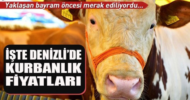 Denizli'de kurbanlık fiyatları ne kadar