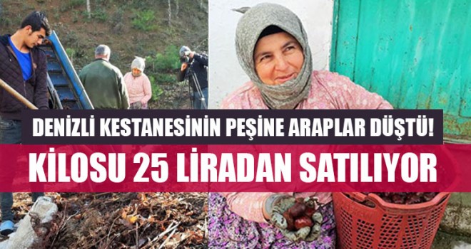 Denizli Kestanesinin Peşine Araplar Düştü! Kilosu 25 Liradan Satılıyor
