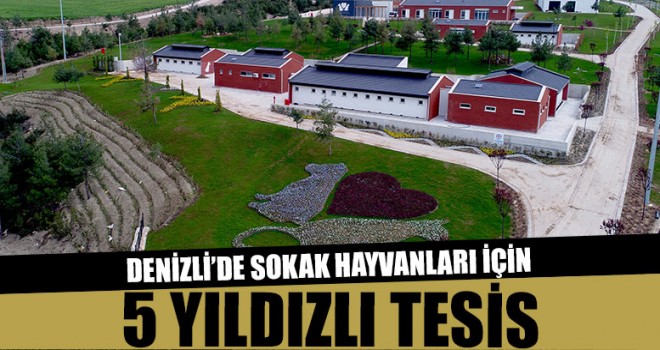 Denizli’de Sokak Hayvanları 5 Yıldızlı Tesis