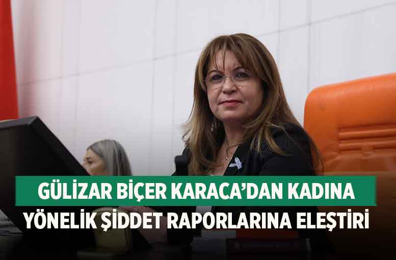 Gülizar Biçer Karaca’dan Kadına Yönelik Şiddet Raporlarına Eleştiri